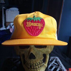Deadstock Vintage Driscoll Strawberry Patch Snap Trucker Hat Cap